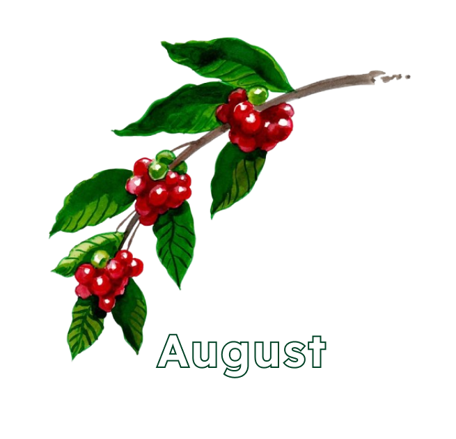 August
