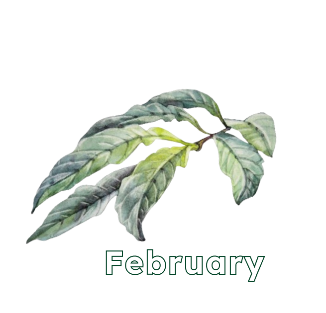 February