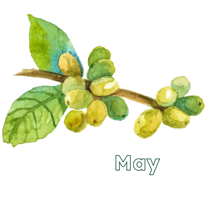 May