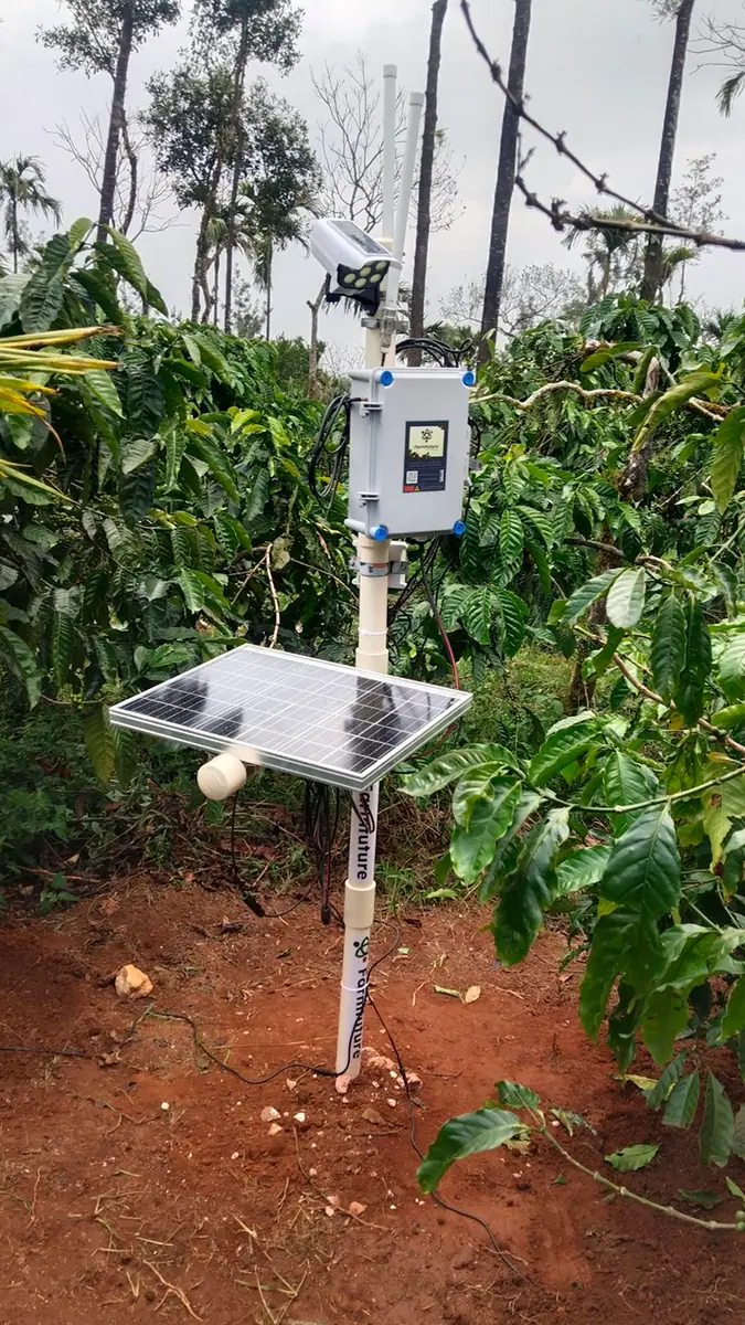 Main field image